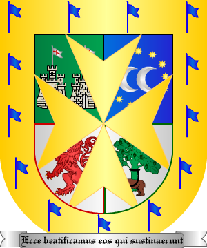 ESCUDO PRECEDENTE